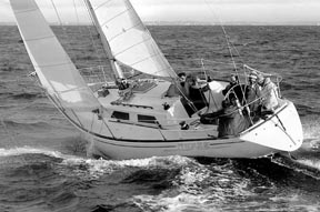 Pearson 37