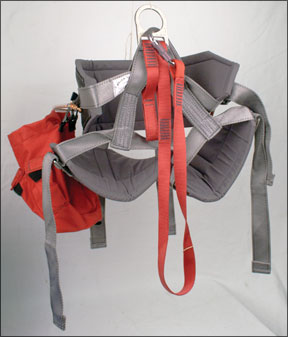 Brion Toss Cruisers Harness