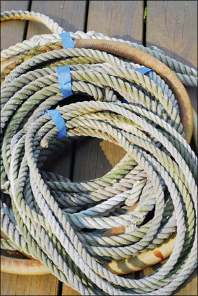 Nylon Dock Line