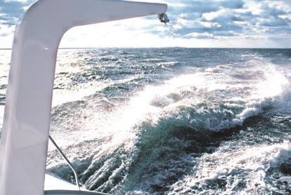 Leopard catamarans